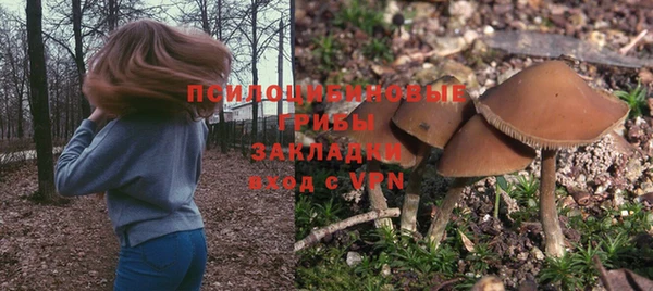 ешки Верея