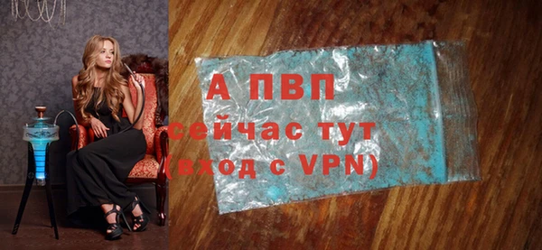 прущие грибы Верхний Тагил