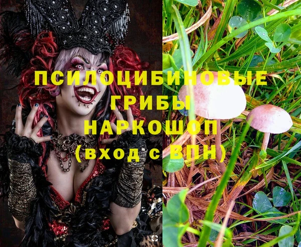 ешки Верея