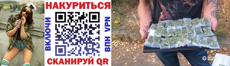 как найти наркотики  мориарти Telegram  Конопля Amnesia  Кашин 